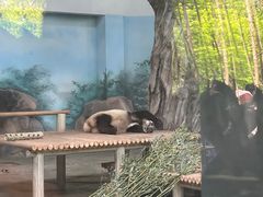 -苏州太湖国家湿地公园