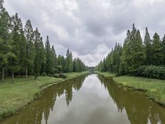 -黄海国家森林公园