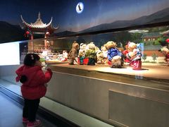 -成都泰迪熊博物馆