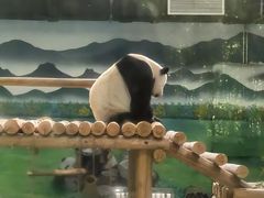 -柳州市动物园