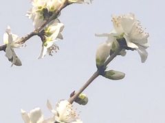 -颐和园