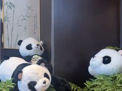 -了凡国风主题茶馆·咖啡(武侯祠锦里店)