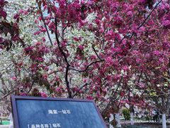 -海棠花溪(元大都城垣遗址公园)