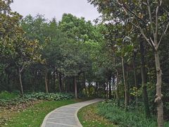 -昆山城市生态森林公园