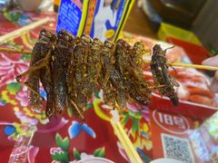 -小吴先生的店·东北烧烤(林科大店)