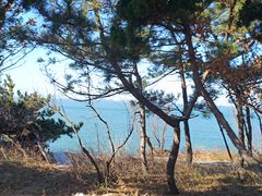 -养马岛旅游度假区