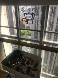 -谜秀韩式半永久纹眉纹绣洗眉