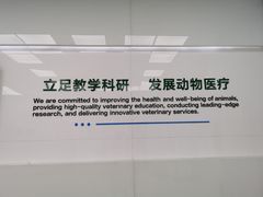 -中国农业大学动物医院