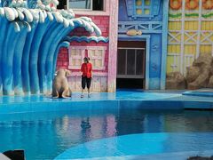 -华夏文旅海洋公园