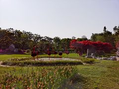 -上海鲜花港