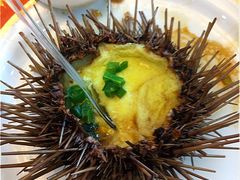 海胆蒸蛋-海岛渔村大酒店(云霄路店)