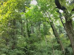 -金堂县云顶石城风景区