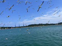 -海驴岛(荣成市)