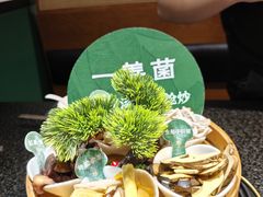 -一善菌·云南菌汤·云南菜(银泰城店)