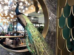 -雀蓝川菜(奥体广场店)