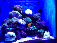 -多彩贵州城极地海洋世界