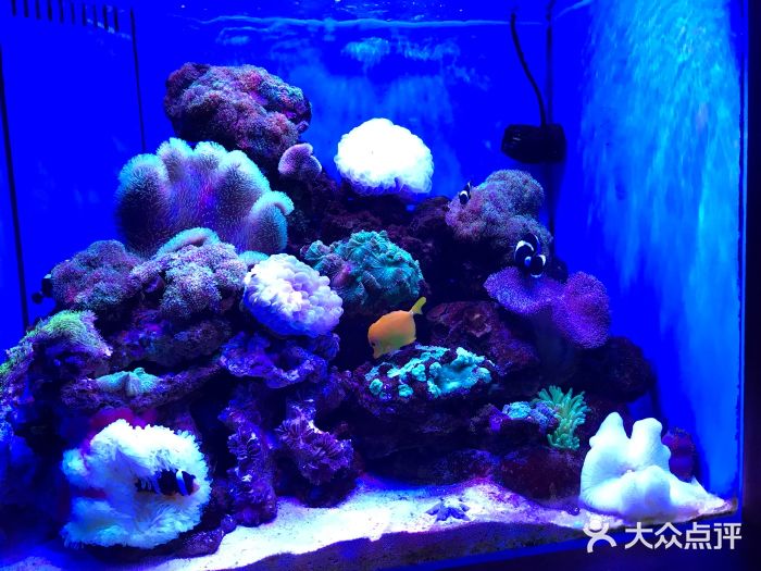 多彩贵州城极地海洋世界图片