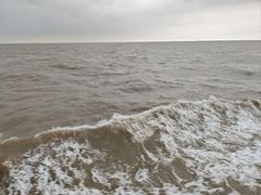 -上海浦东嘉里大酒店
