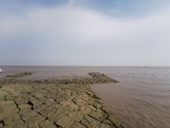 -南汇嘴观海公园