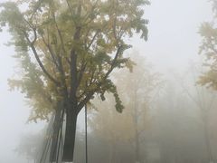 -阊门姚记豆浆(旧学前直营店)