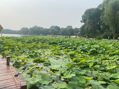 -郭守敬纪念馆