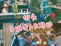 -循礼门鲜花花市(武汉循礼门店)