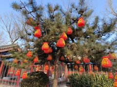 -中卫御苑福膳·养生局(圆明园店)