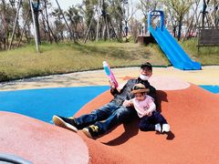 -春花秋色城市公园