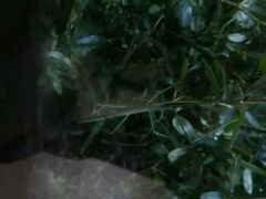 android_upload_pic-上海昆虫博物馆