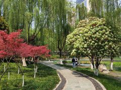 -后襄河公园
