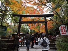 -野宫神社