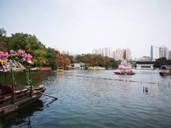 -荔湾湖公园