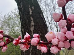-吉林大学(南岭校区)