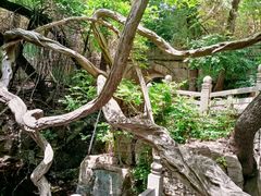 -四门塔风景区