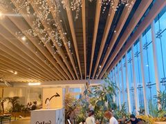 -Seesaw Coffee(朝阳大悦城店)