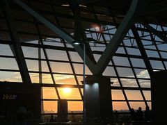 -上海浦东国际机场-T2航站楼