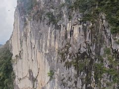 -秦岭天竺山生态文化旅游景区