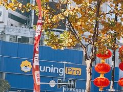 -苏宁易购(Suning Pro南京山西路店)