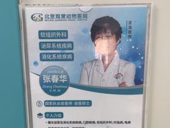 -北京观赏动物医院·24小时大型综合·猫专科·异宠专科