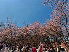 -吉林大学(南岭校区)