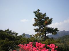 -木兰云雾山