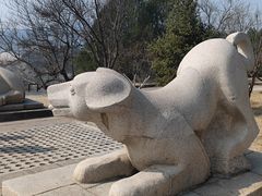 -北京十三陵国家森林公园蟒山景区