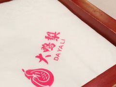 -大鸭梨烤鸭店(朝阳路店)