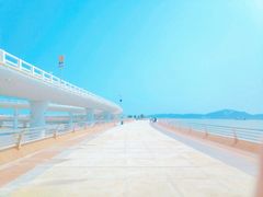 -演武大桥观景平台