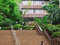 -香港大学