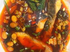 鲟鱼-蜀滋香鲜鱼美蛙火锅(339店)