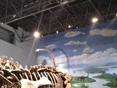 -自贡恐龙博物馆