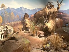 -陕西自然博物馆