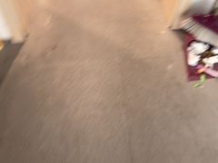 -汇乐游泳馆(莲花南路店)
