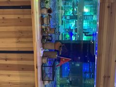 -趣陶陶艺手工坊(新世界百货重庆店)